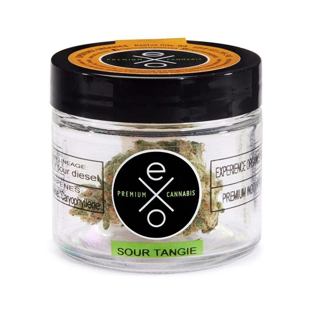 Sour Tangie