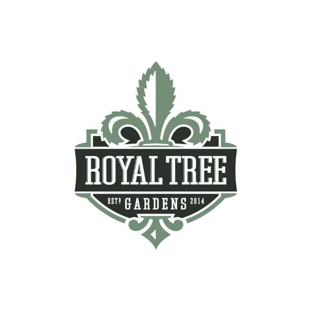 Georgia Pie | Royal Tree Gardens