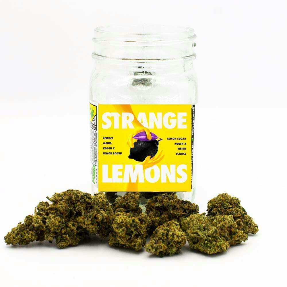 Strange Lemons | Phat Panda - Platinum Flower