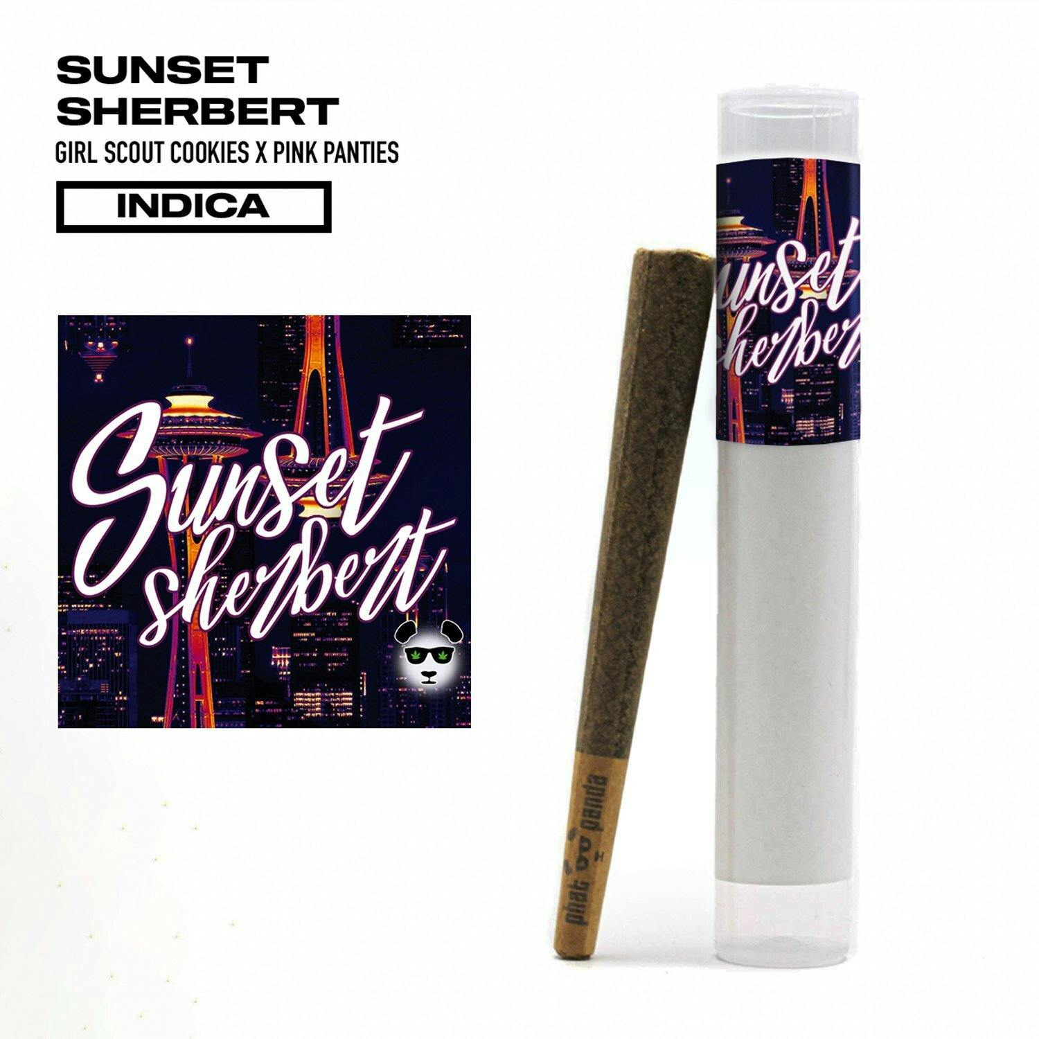 Sunset Sherbert [1g] | Phat Panda - Core Pre Roll