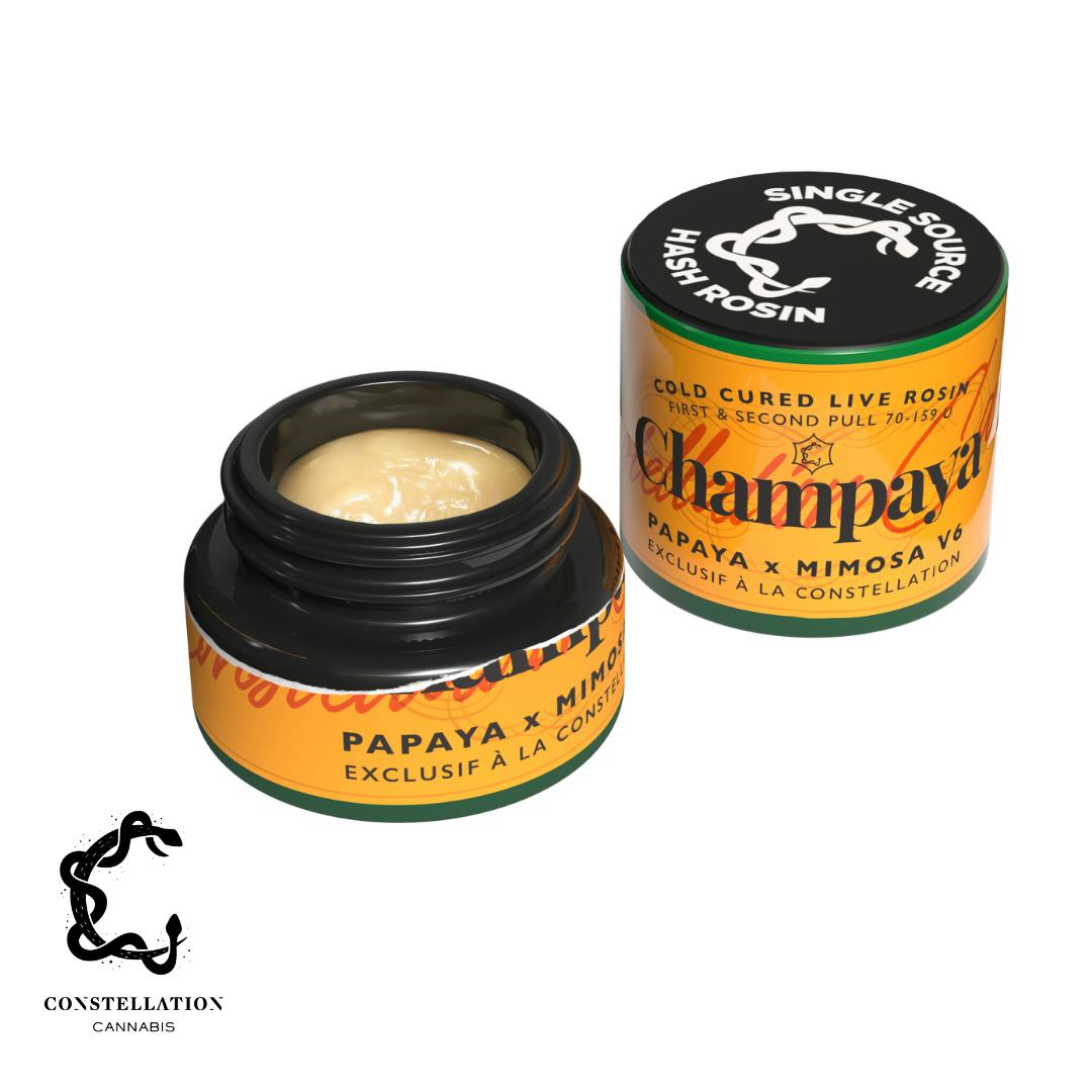 Champaya [1g] | Constellation Cannabis - Constellation Rosin (Cold Cure)
