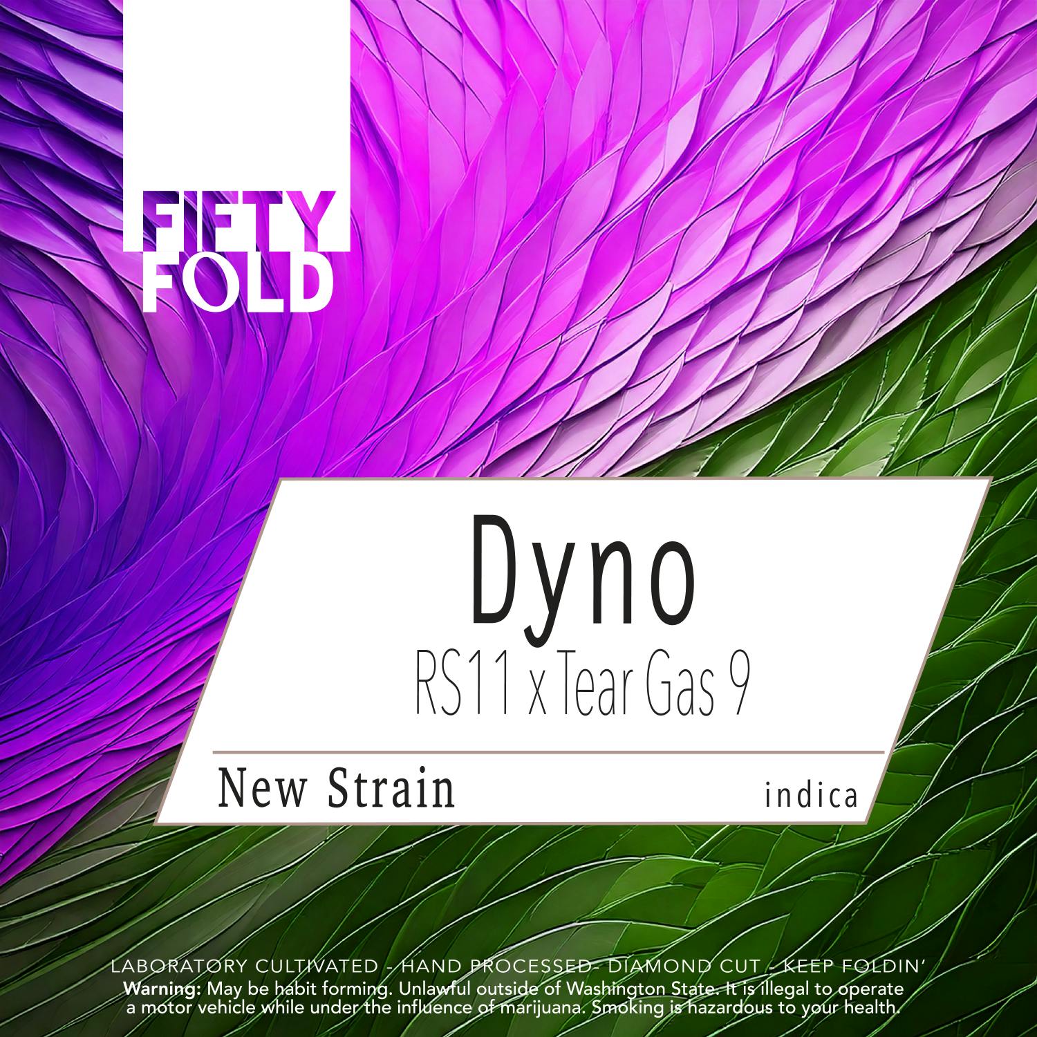 Dyno | Fifty Fold - Indoor