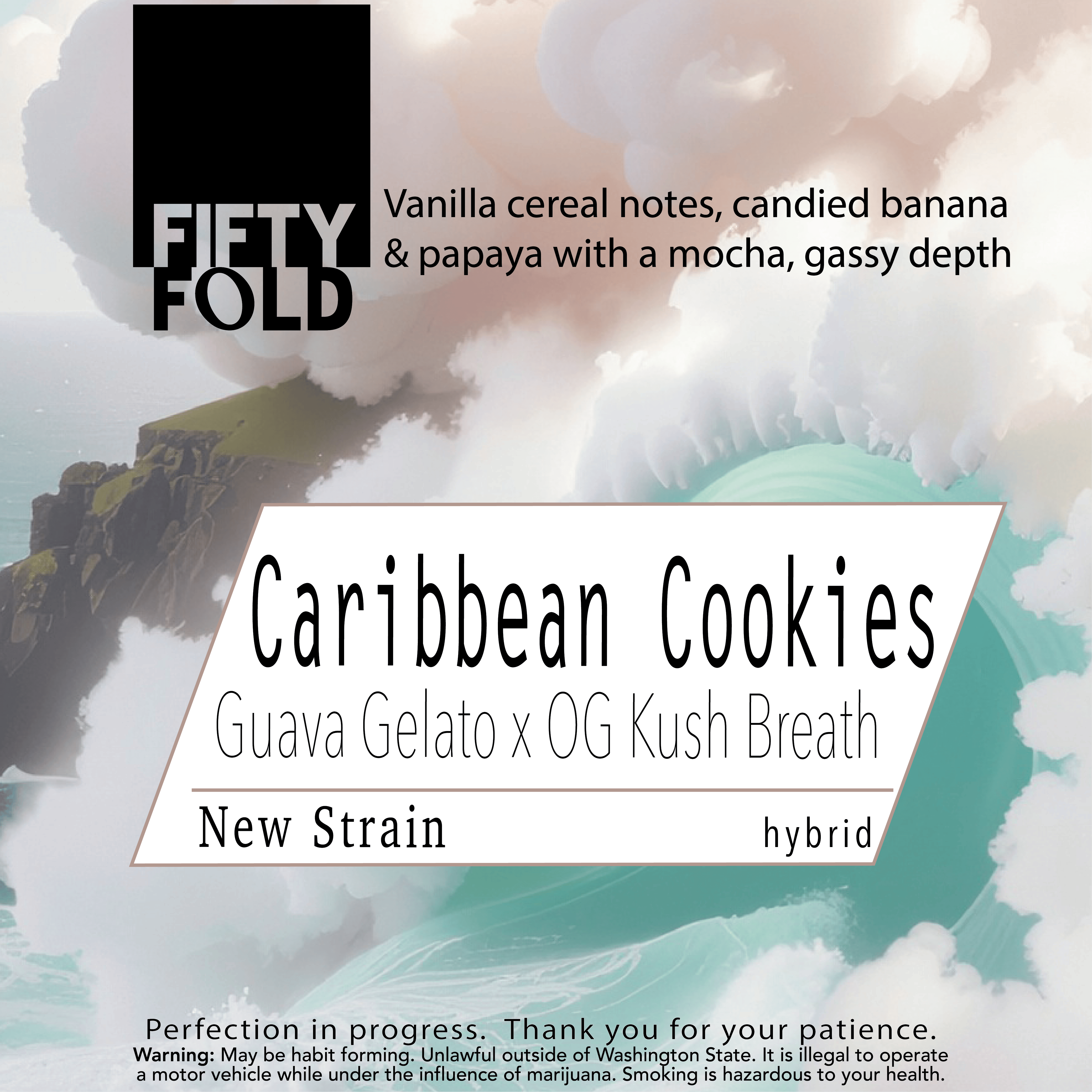 Caribbean Cookies | Fifty Fold - Indoor