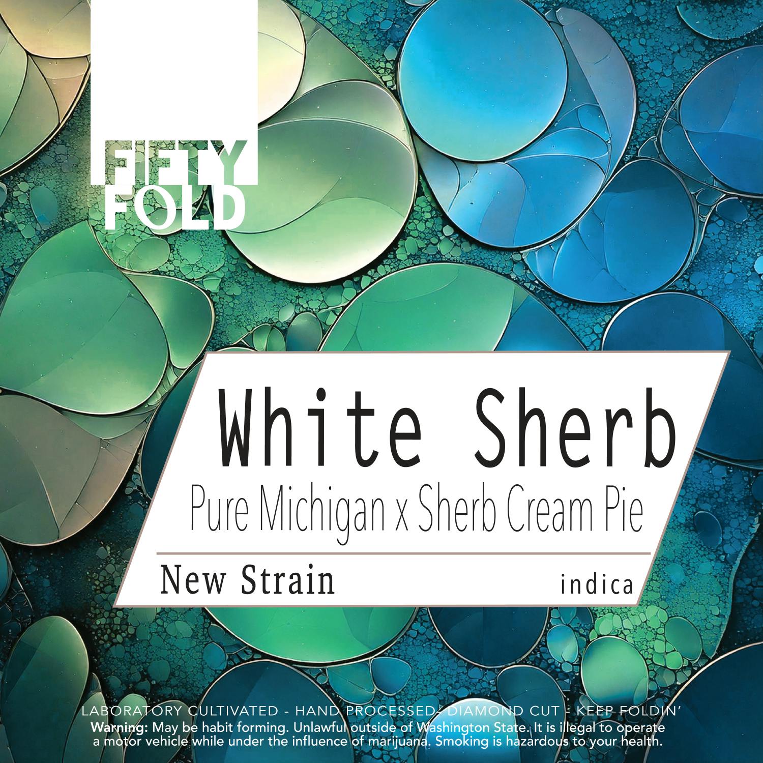 White Sherb | Fifty Fold - Indoor