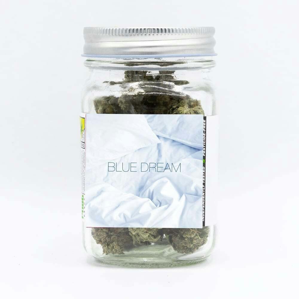 Blue Dream | Phat Panda - Platinum Flower