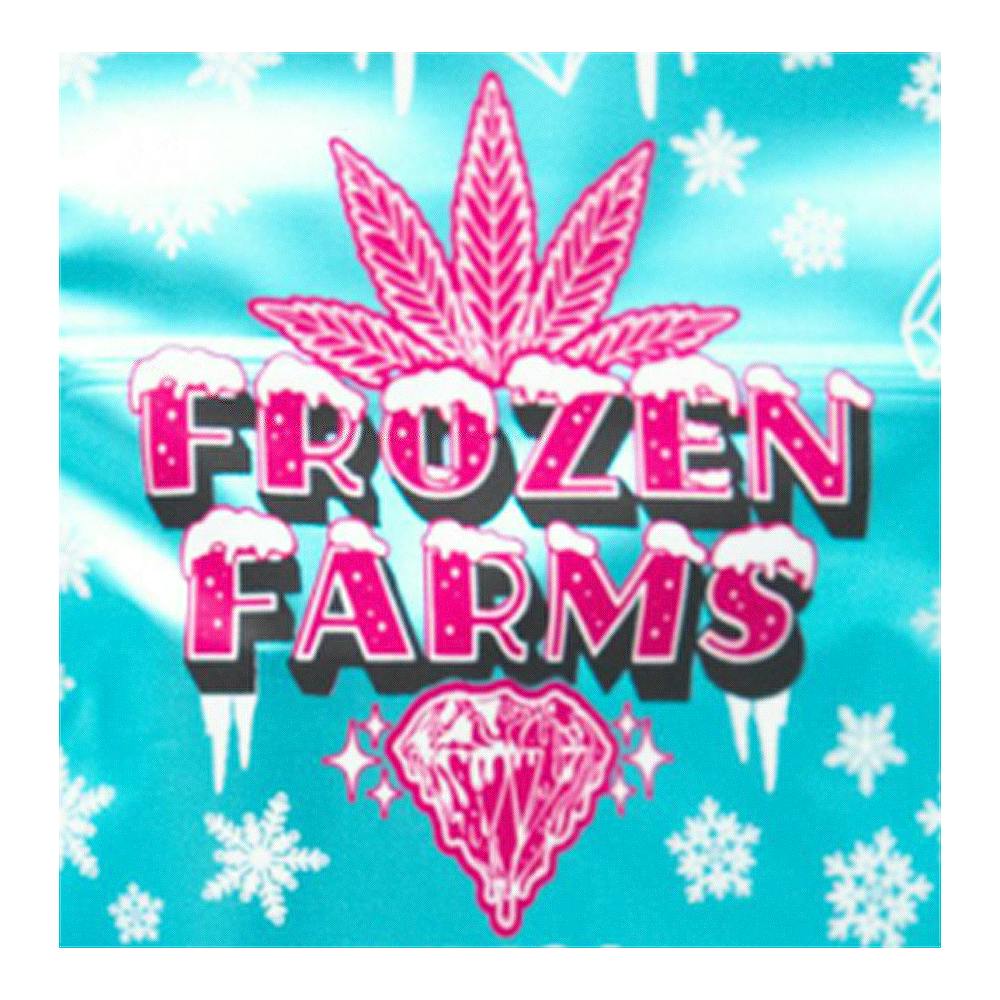 Honey Banana x Lemon Hash Plant | Frozen Farms - Live Hash Rosin