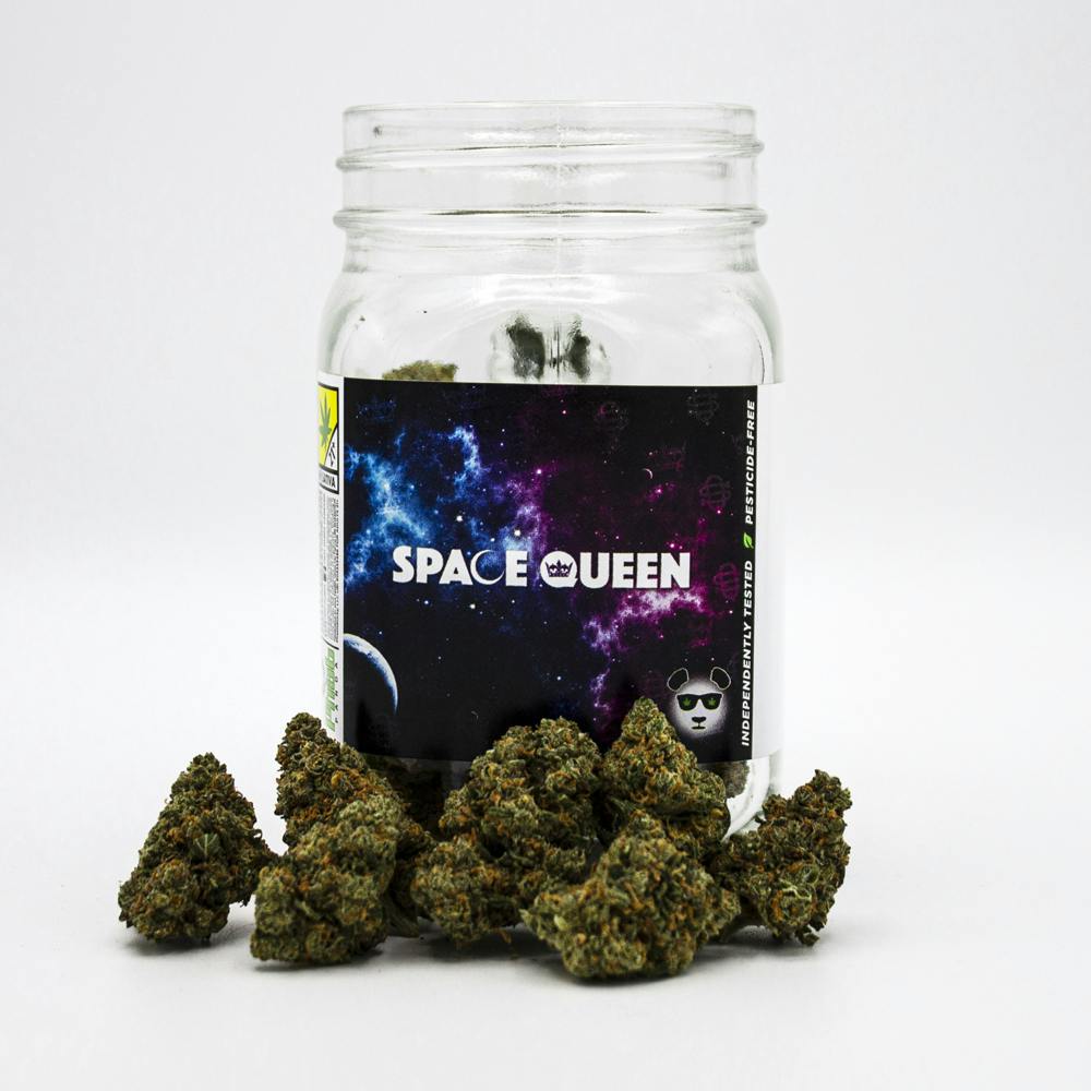 Space Queen | Phat Panda - Core Flower