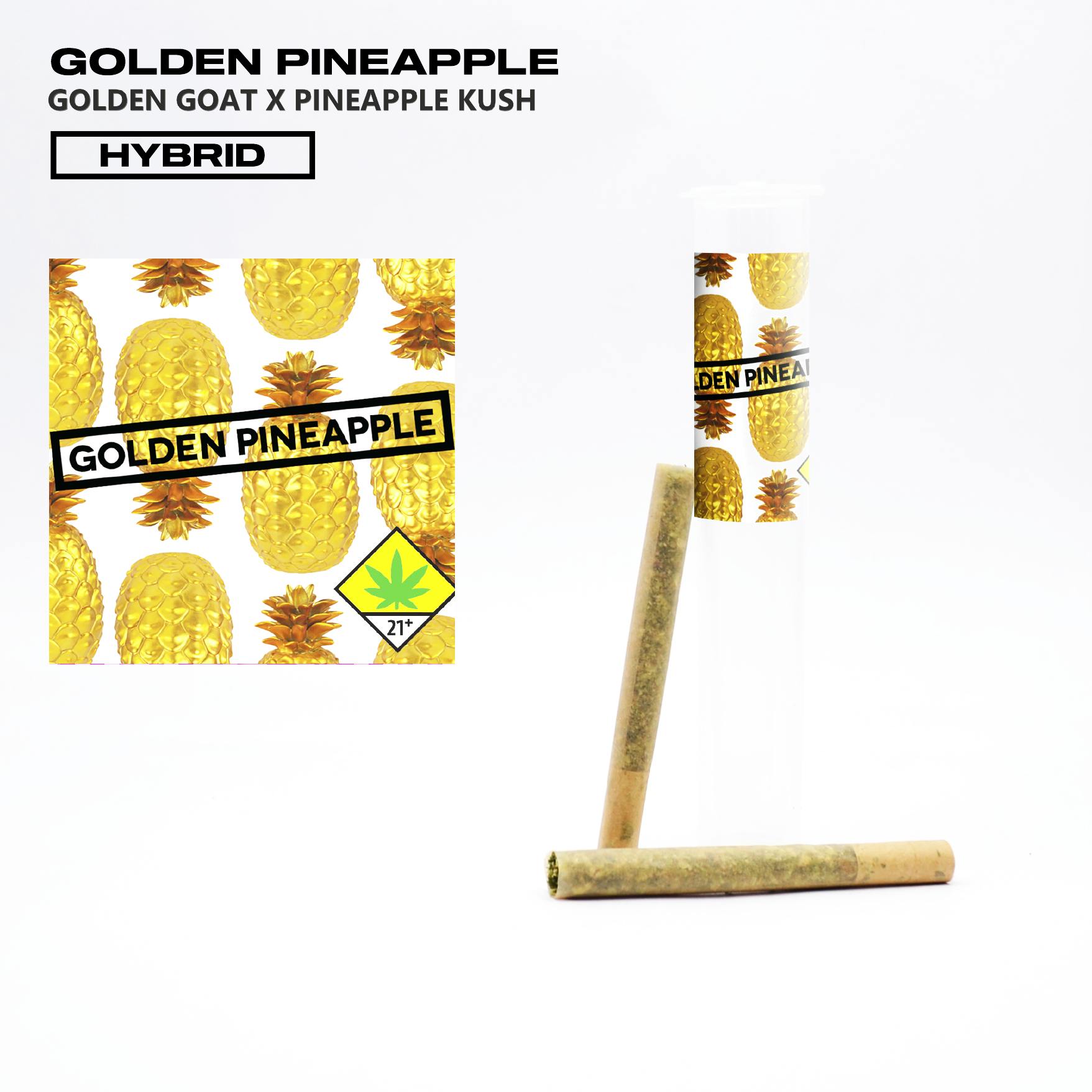 Golden Pineapple [.5g] | Phat Panda - 2 Pack Bangers Pre Roll