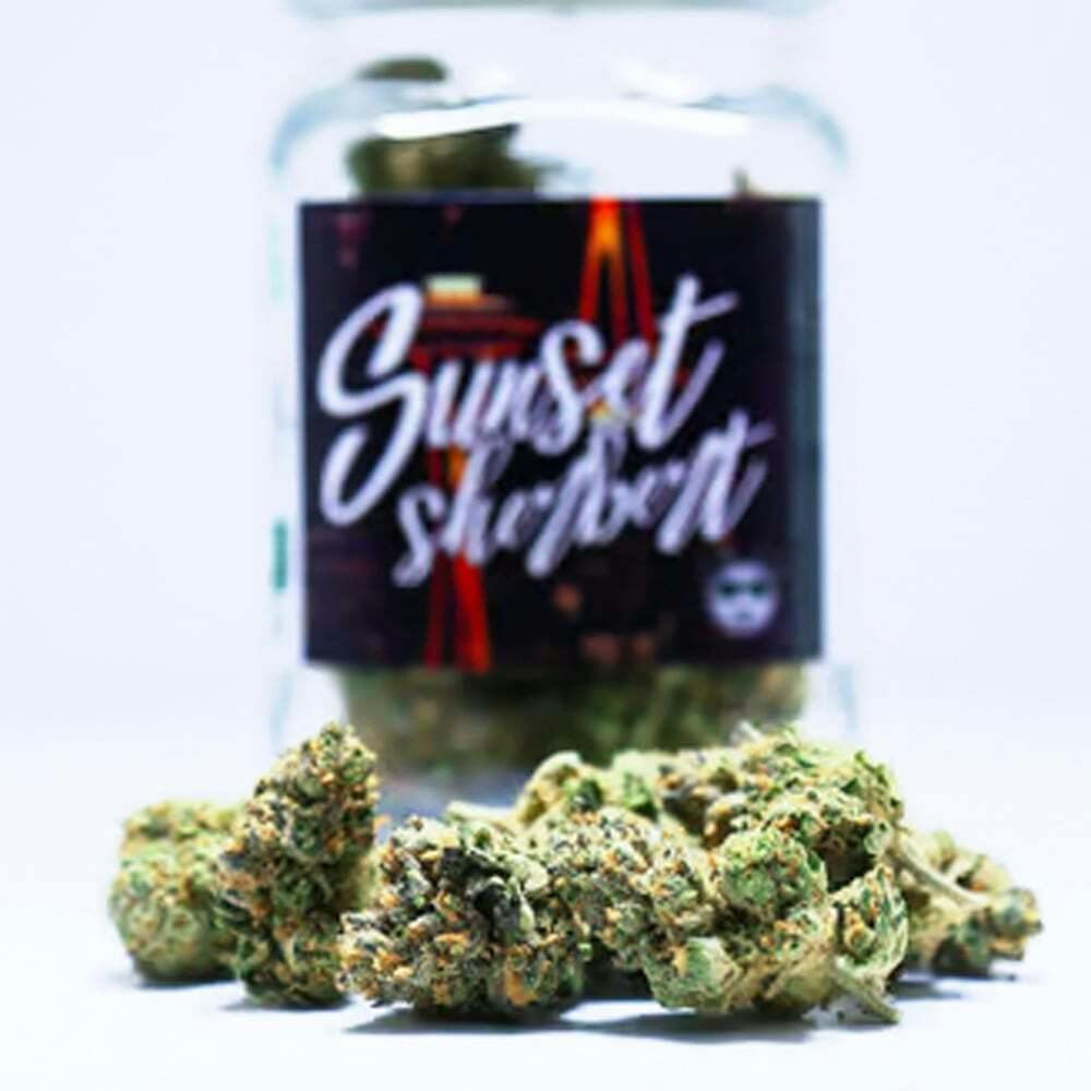 Sunset Sherbet | Phat Panda - Core Flower