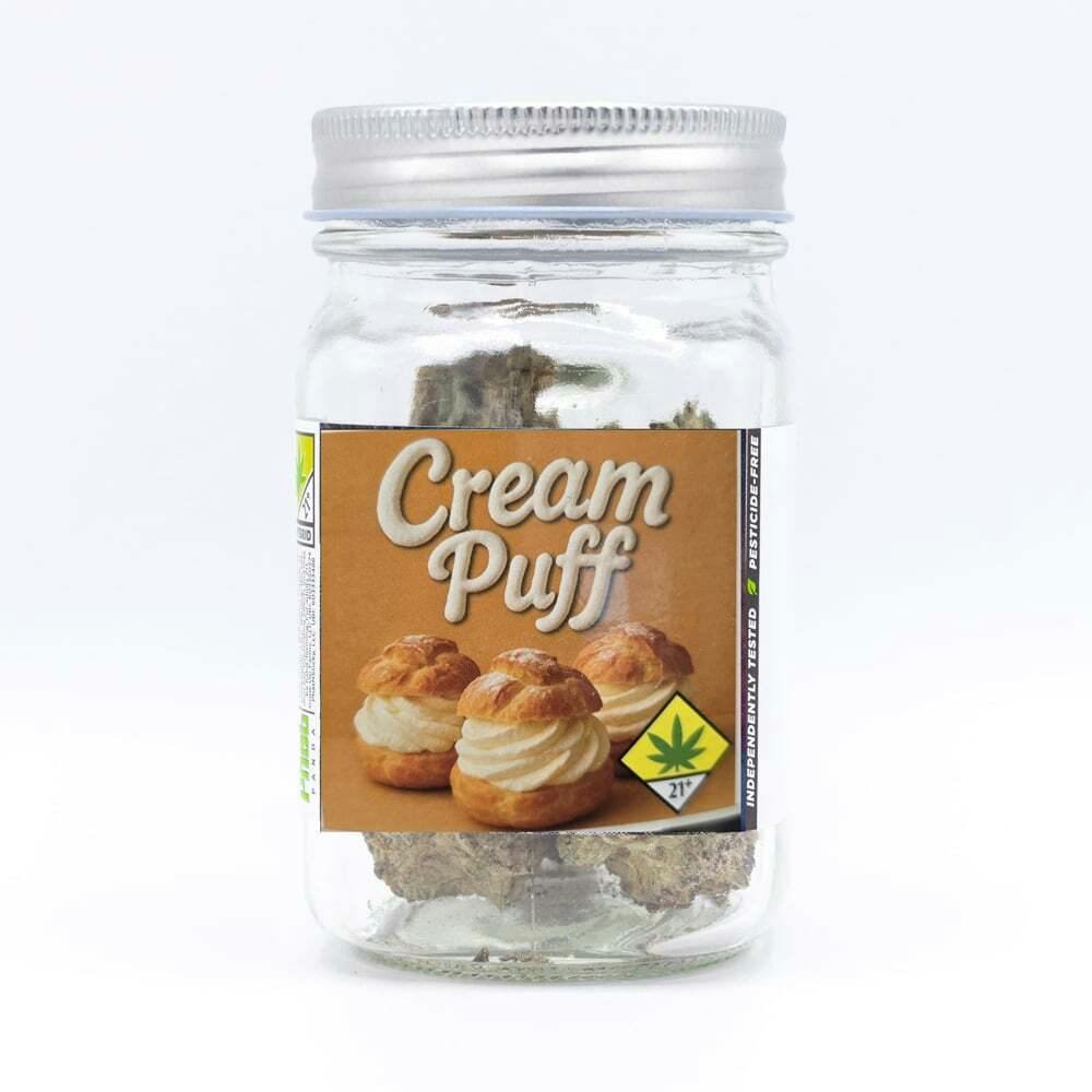 Cream Puff | Phat Panda - Core Flower