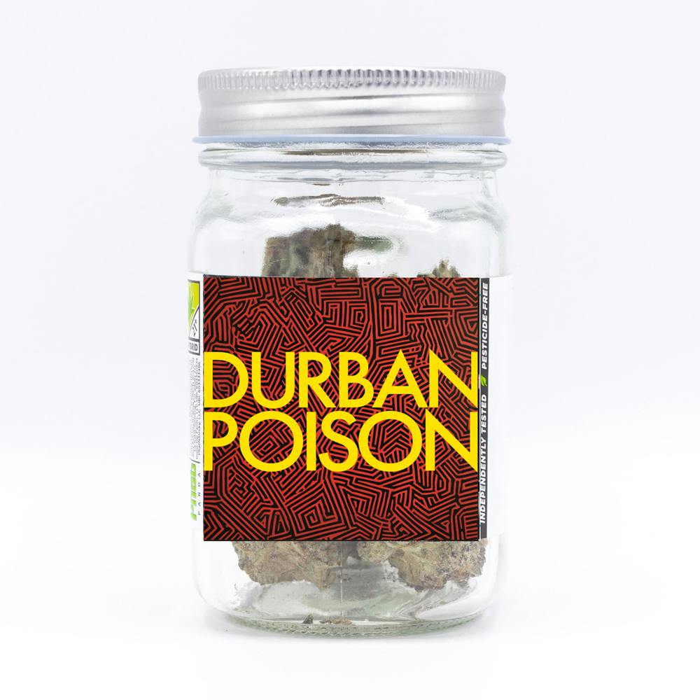 Durban Poison | Phat Panda - Core Flower
