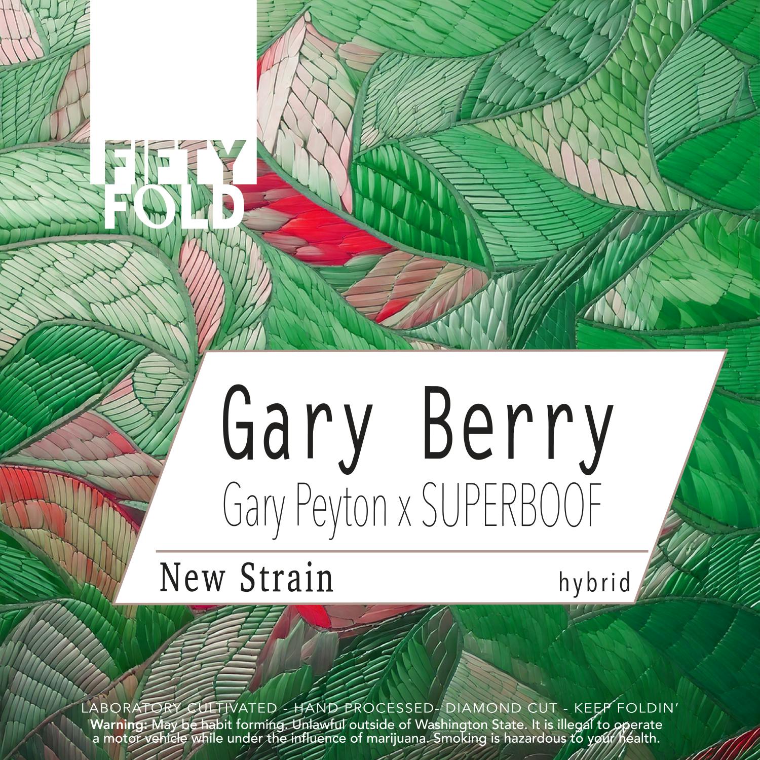 Gary Berry | Fifty Fold - Indoor