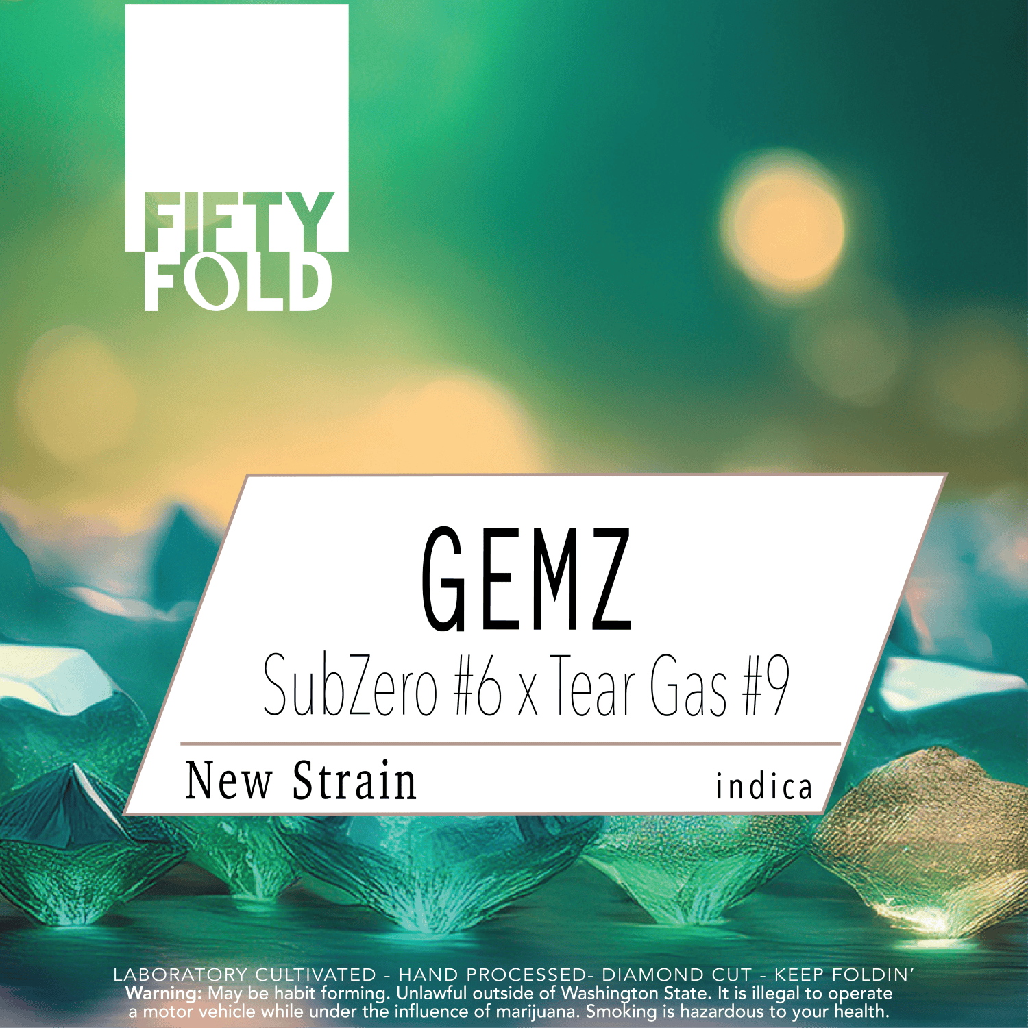Gemz | Fifty Fold - Indoor