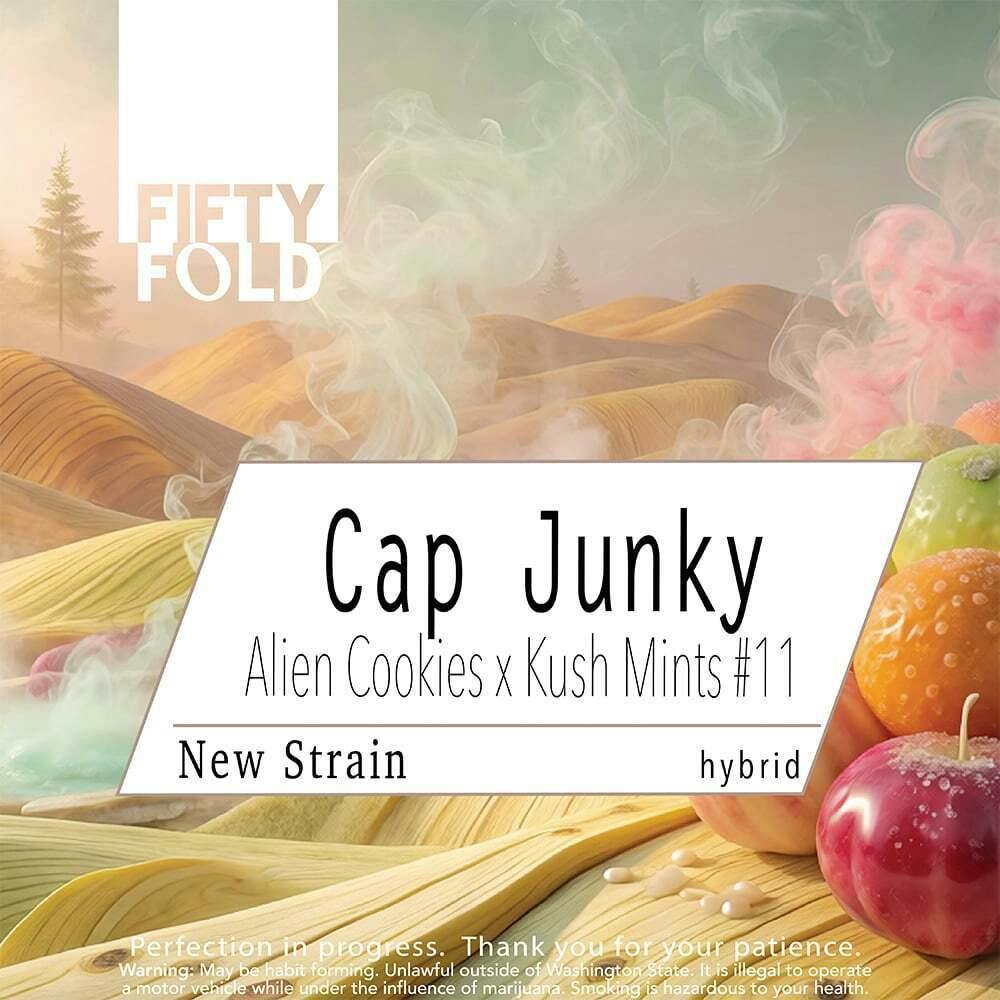 Cap Junky | Fifty Fold - Indoor