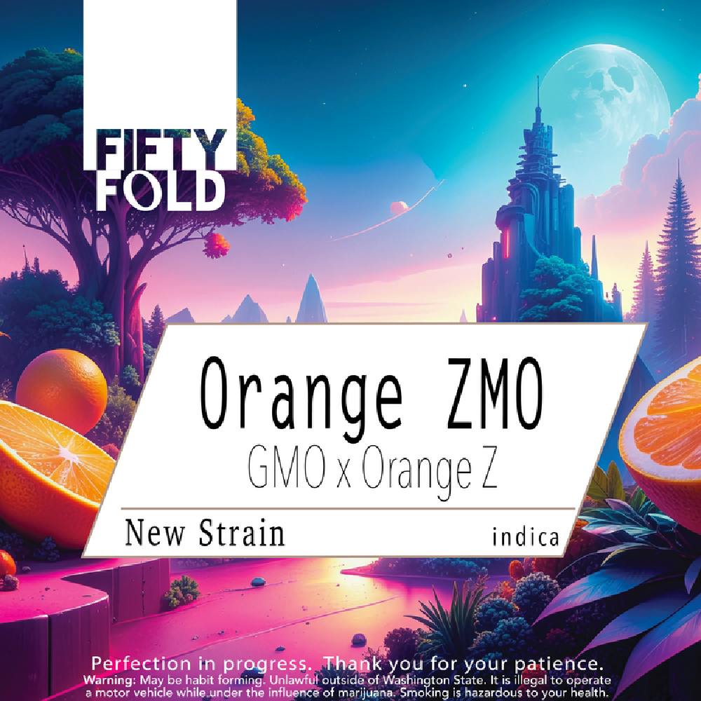 Orange ZMO | Fifty Fold - Indoor