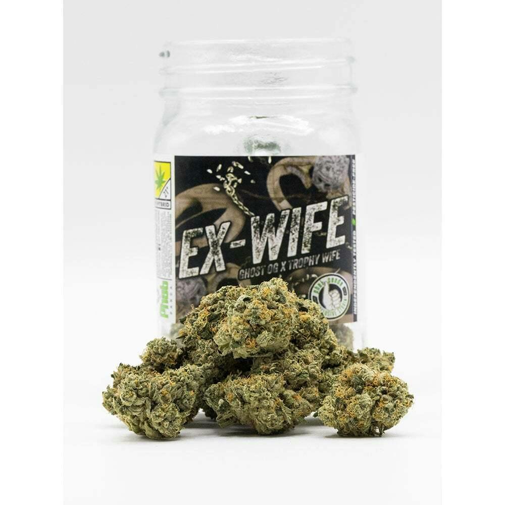 Why You Mad | Phat Panda - Core Flower