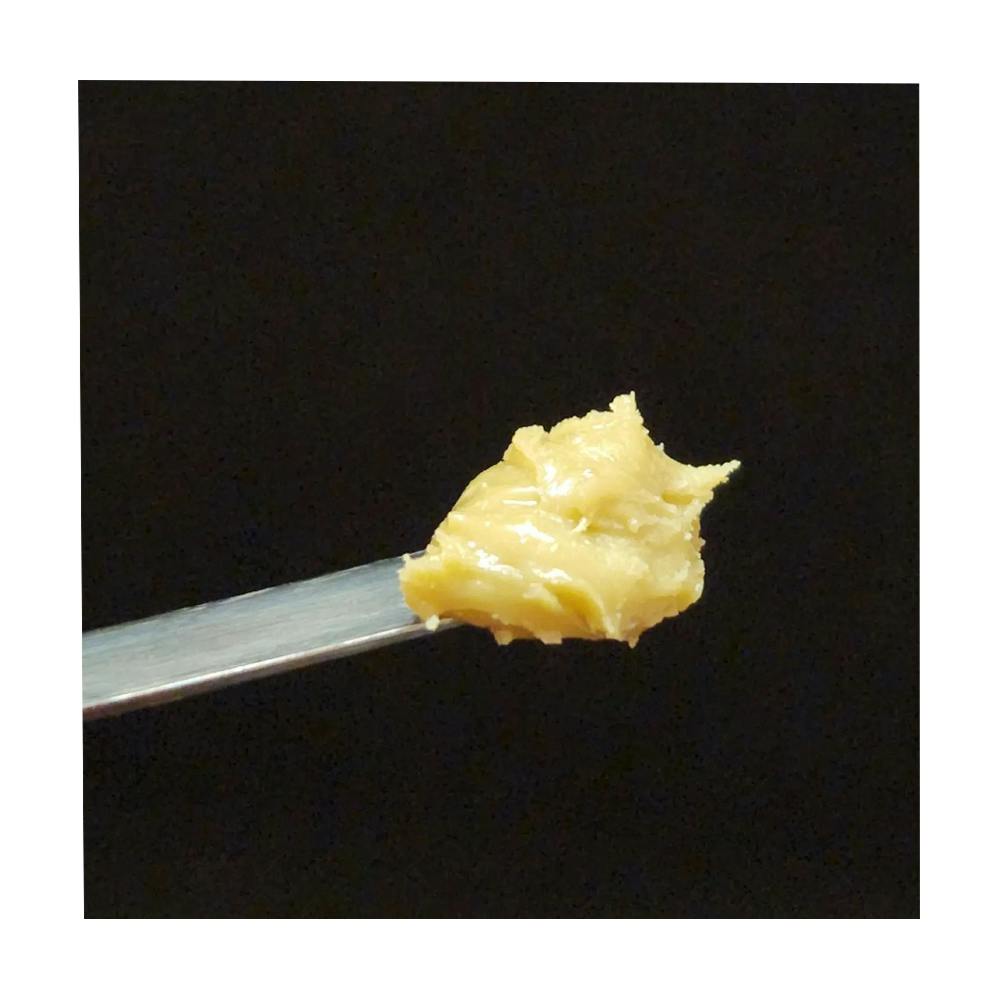 Bolo Queen | Retrograde - Biodynamic Live Rosin