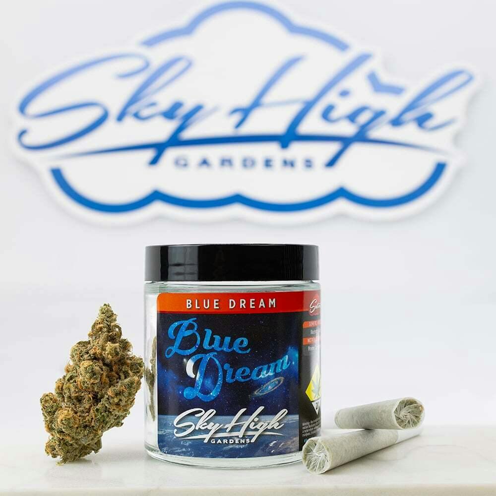 Blue Dream | Sky High Gardens - Craft Cannabis