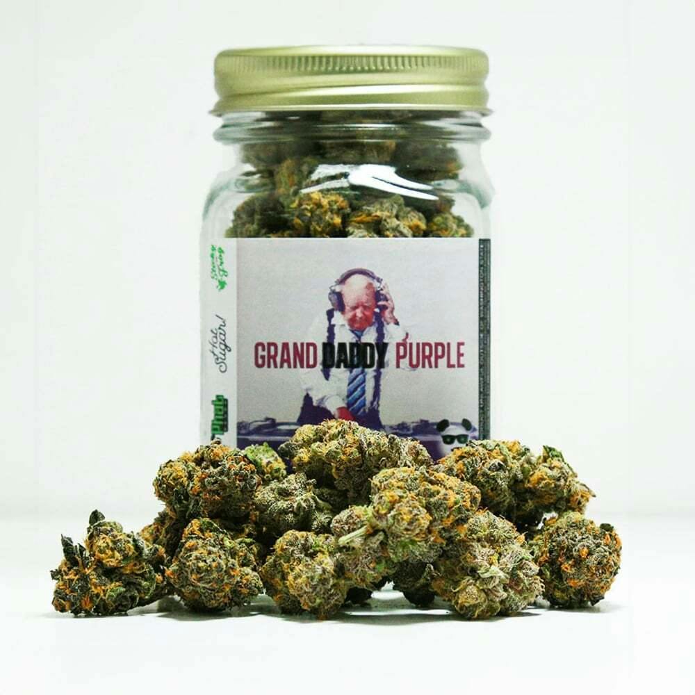 Grand Daddy Purple | Phat Panda - Platinum Flower