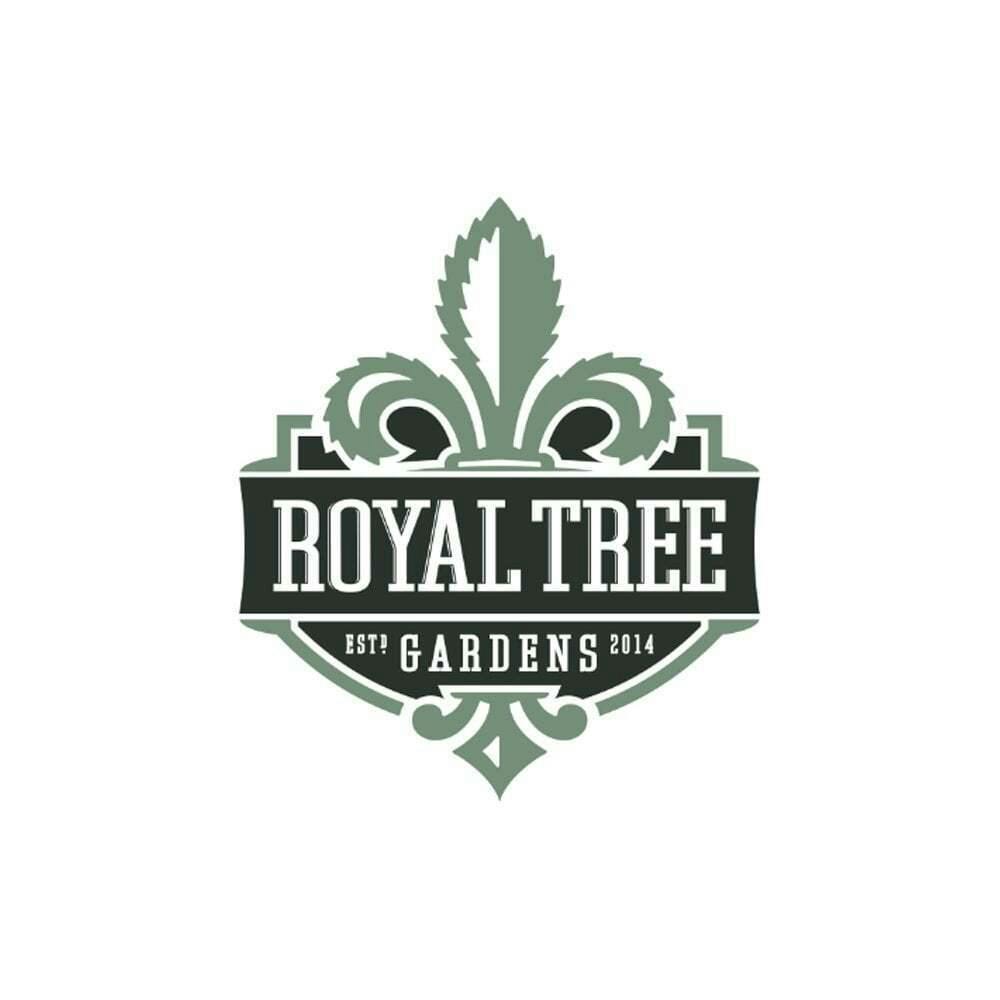 Yuzu Purple [1g] | Royal Tree Gardens - Pre Roll