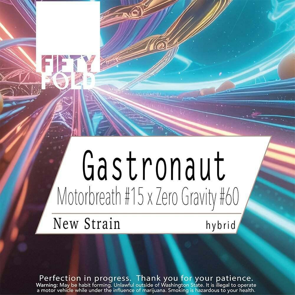 Gastronaut | Fifty Fold - Indoor