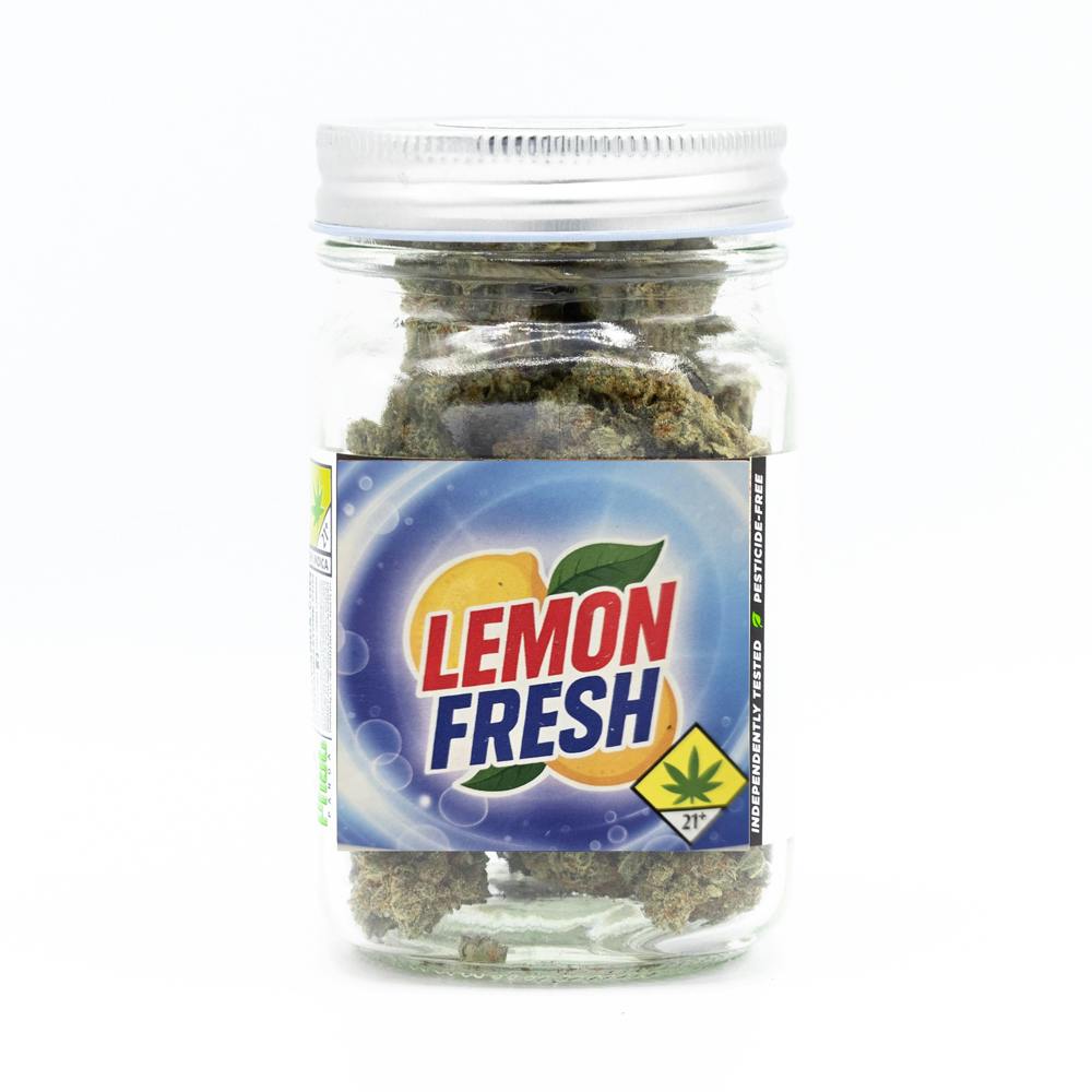 Lemon Fresh | Phat Panda - Core Flower