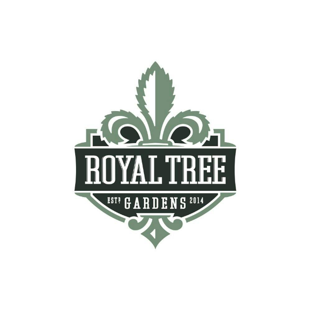 Yuzu Purple [1g] | Royal Tree Gardens - Pre Roll