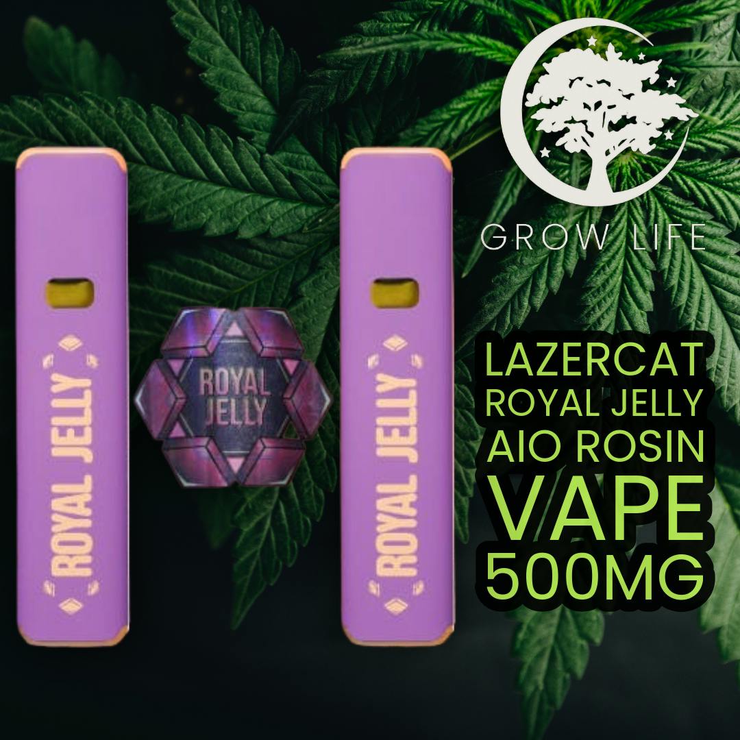 Lazercat Royal Jelly AIO Rosin Vape Grape Gas 500mg (REC)