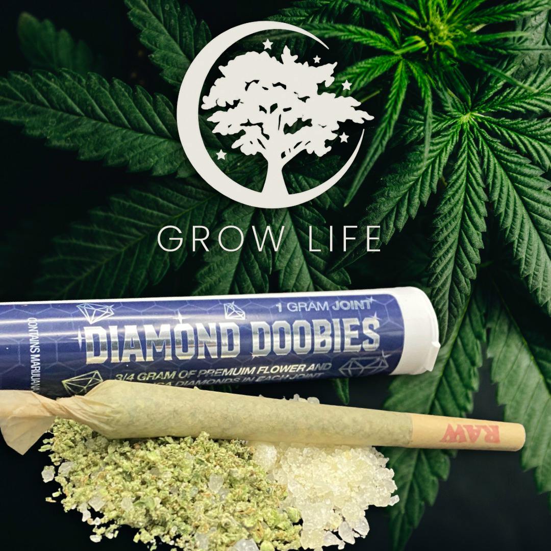 Diamond Doobie DLG Sorbet 1g (MED)