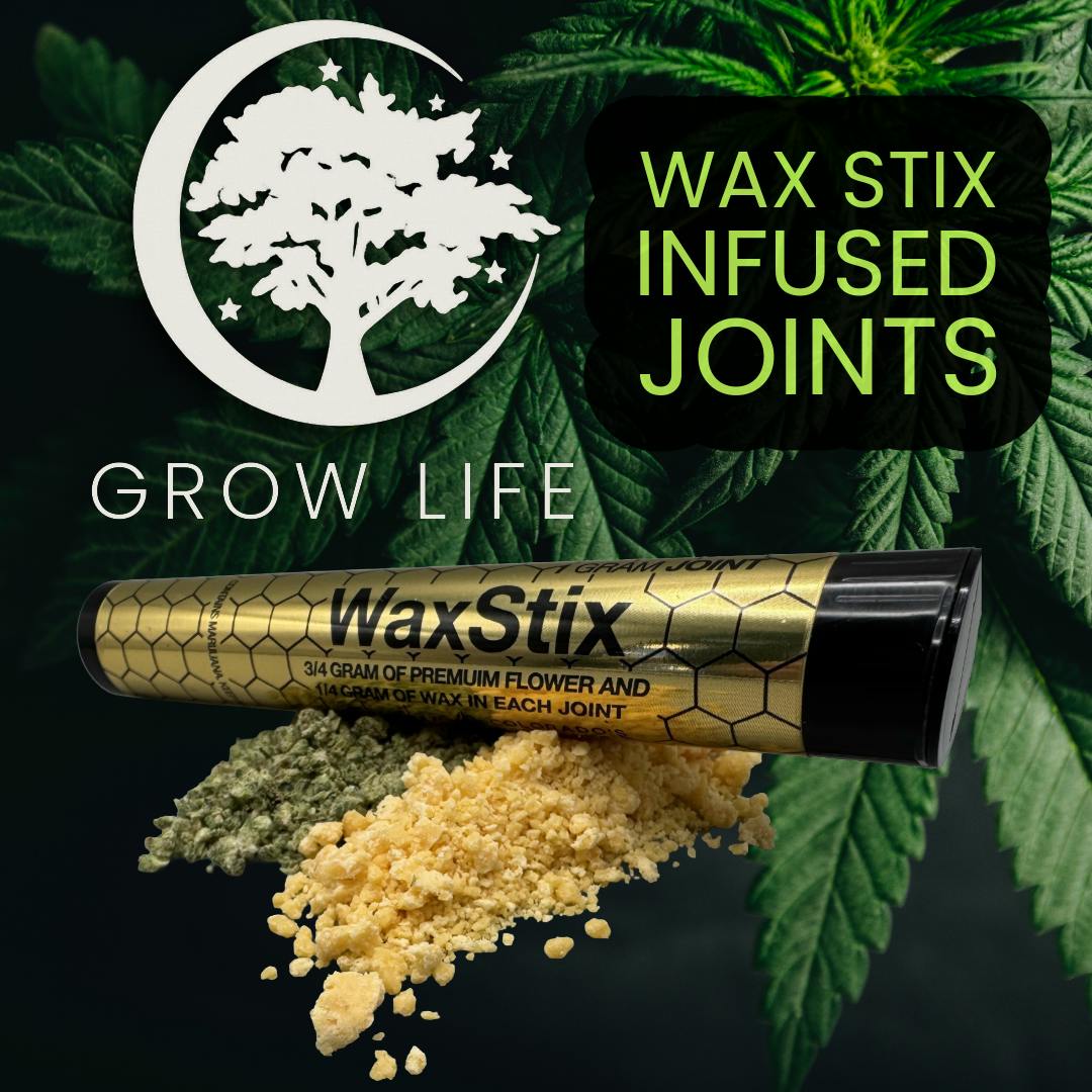 WaxStix Infused Joint Glue 1g (REC)