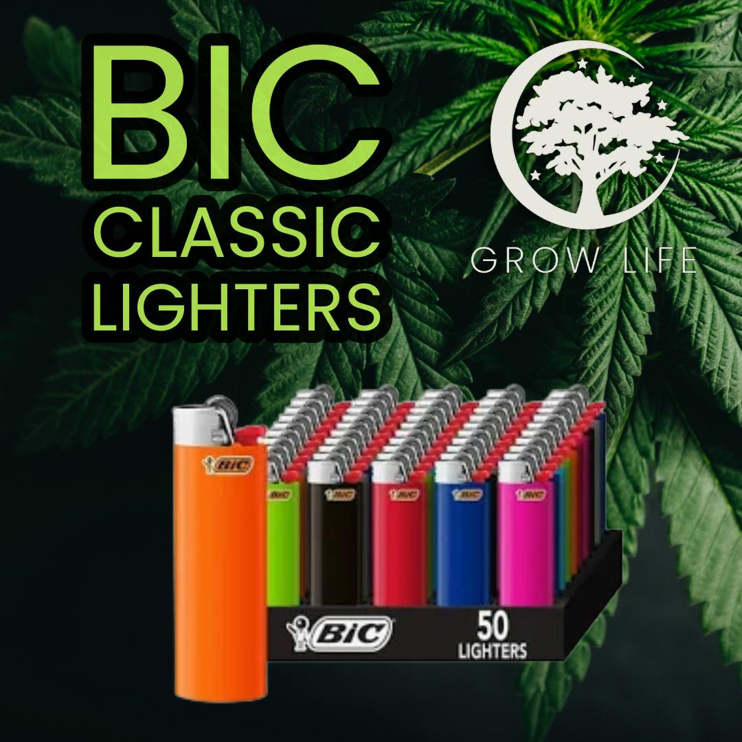 BIC Lighter Regular Size