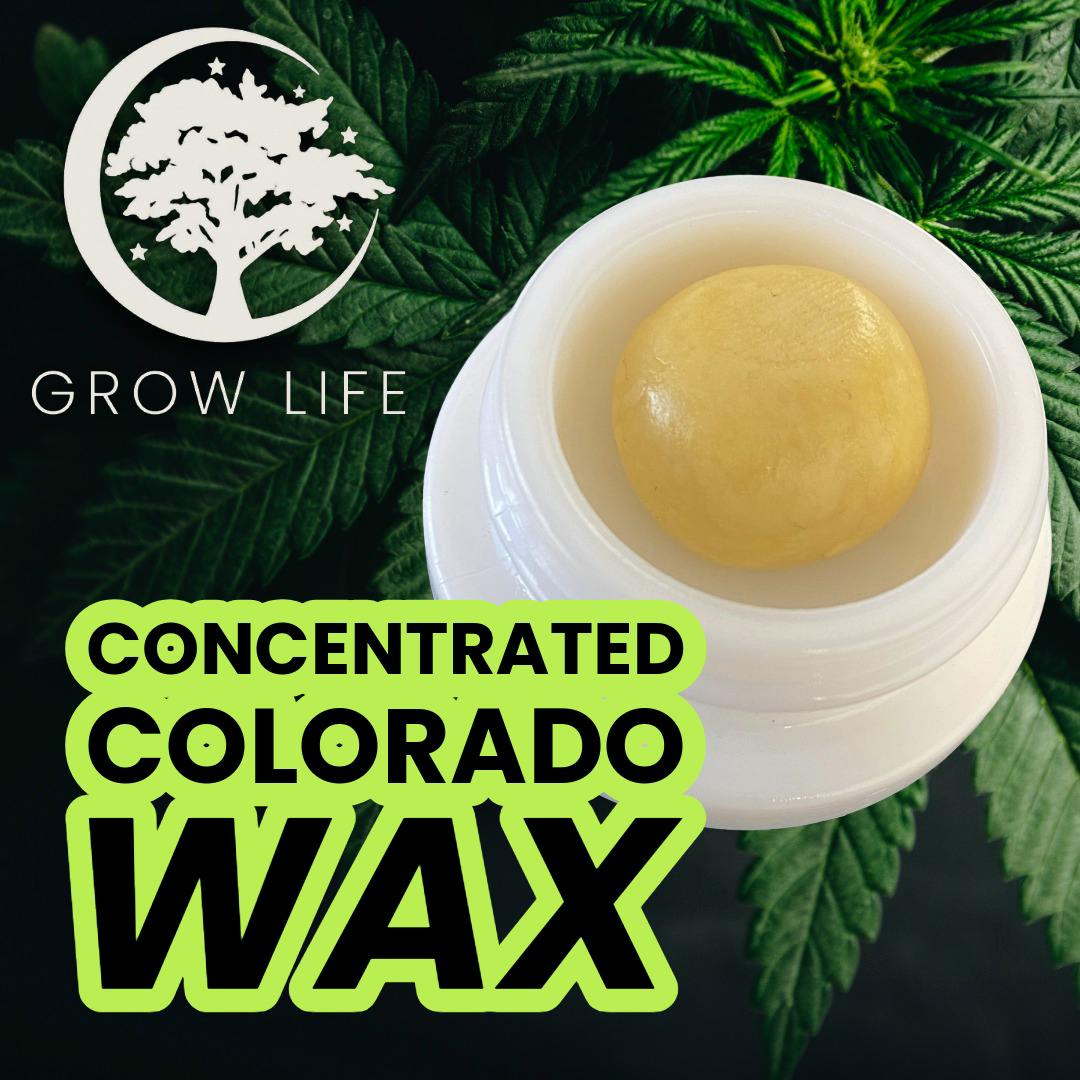 Concentrated CO Wax MAC 1g (REC)
