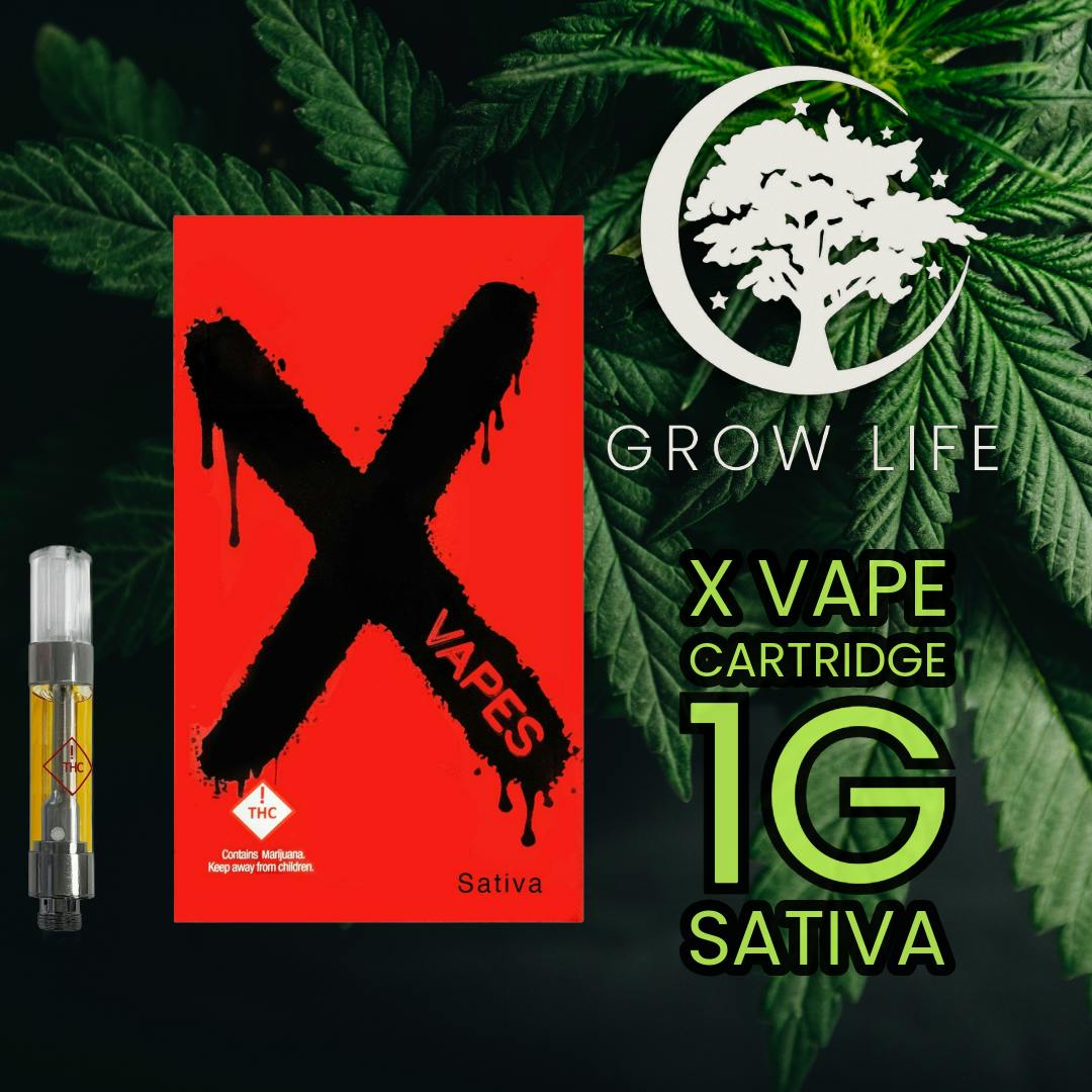 X Vape Cartridge Papaya Dream 1g (MED)