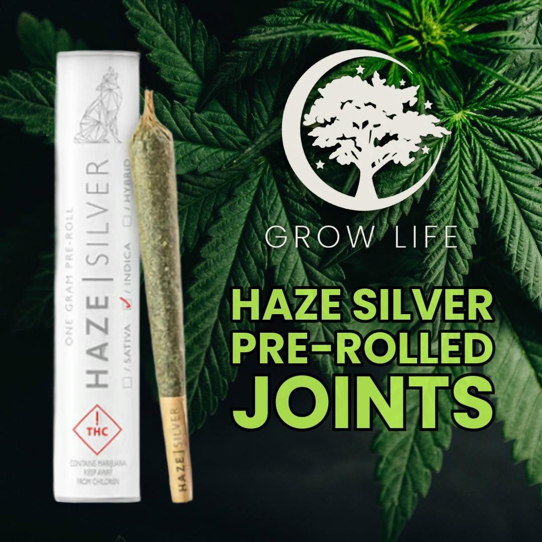 Haze Silver Pre-Roll Space Cat 1g (MED)