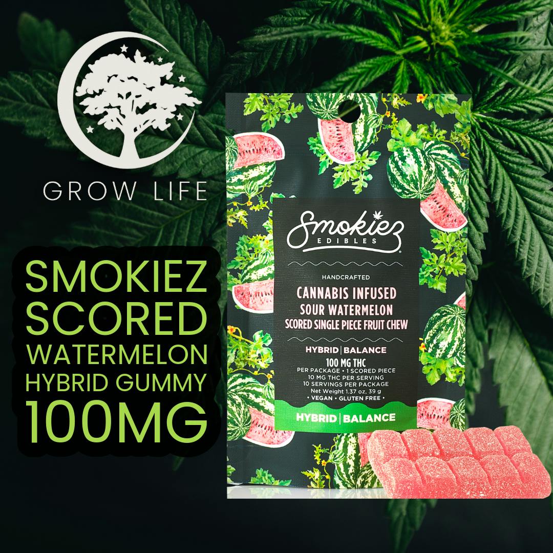 Smokiez Scored Gummy Watermelon Hybrid 100mg (REC)