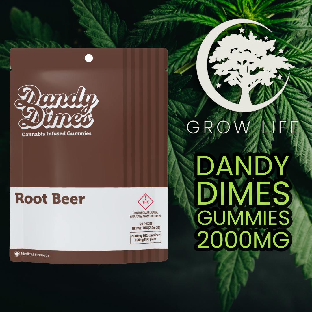 Dandy Dimes Gummies Root Beer 2000mg (Med)