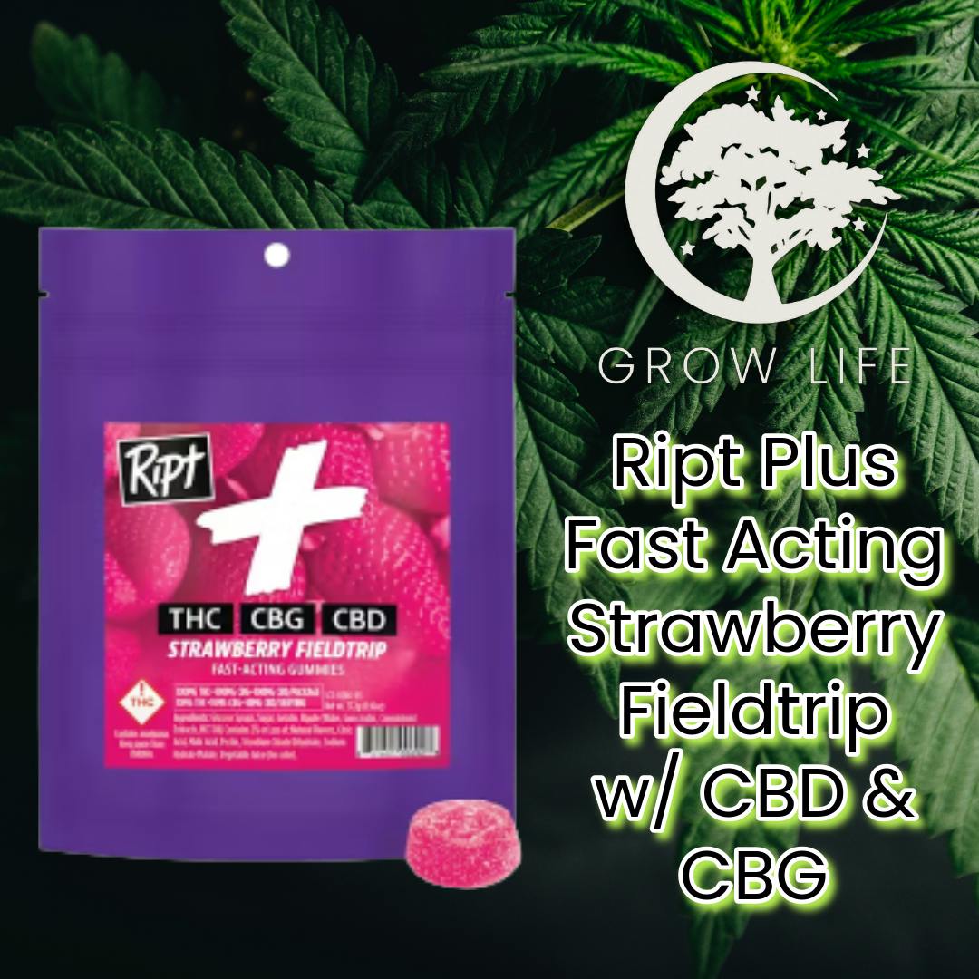 Ript Plus Strawberry Fieldtrip 1:1:1 100mg