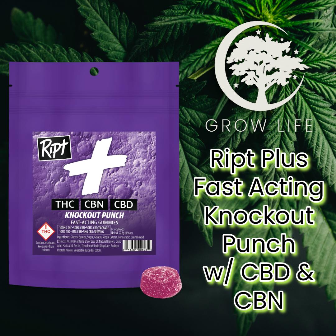 Ript Plus Knockout Punch 2:1:1 Sleep 100mg (REC)