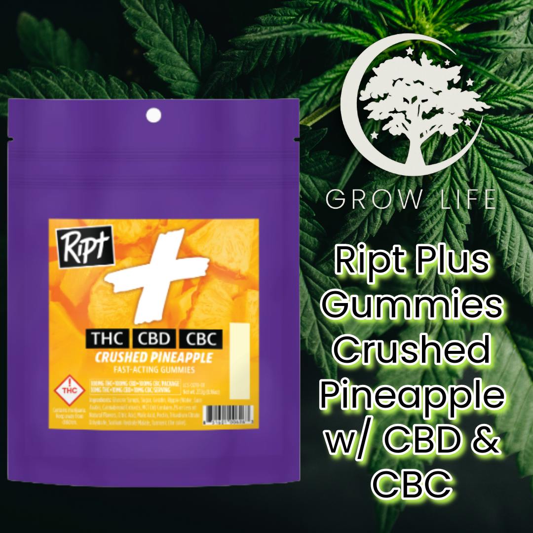 Ript Plus Crushed Pineapple w/ CBC & CBD 100mg