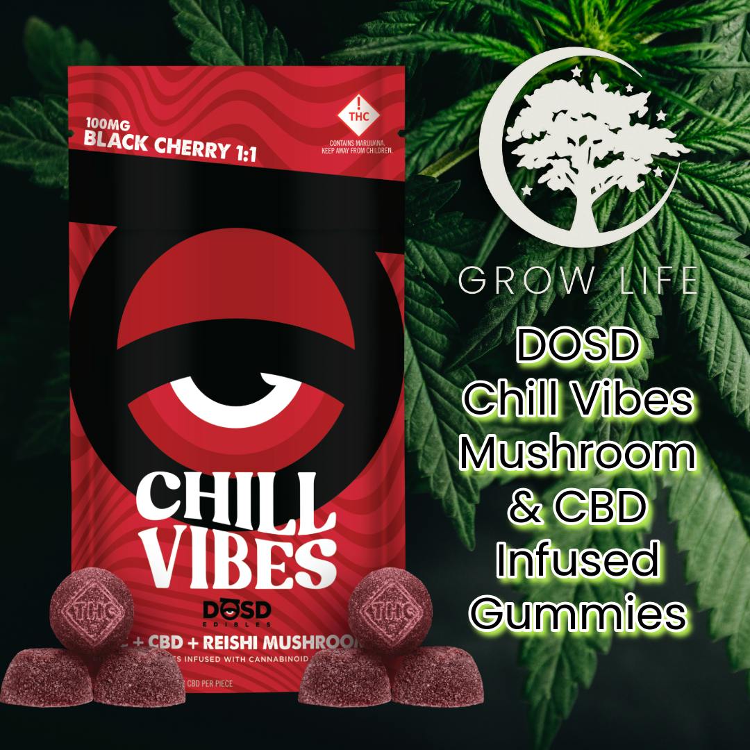 DOSD Chill Vibes Black Cherry w/ Mushroom & CBD 100mg (REC)