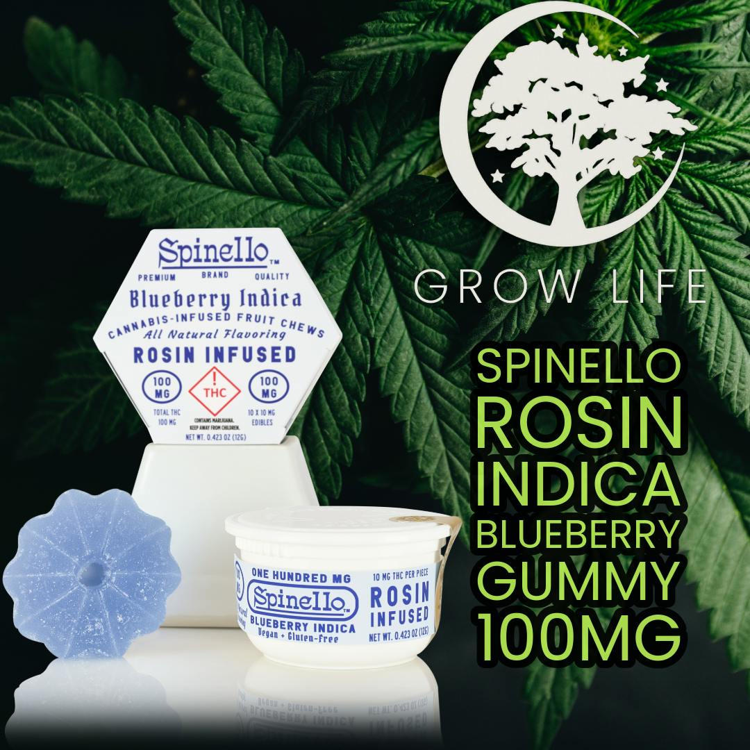 Spinello Rosin Gummy Blueberry Indica 100mg (REC)