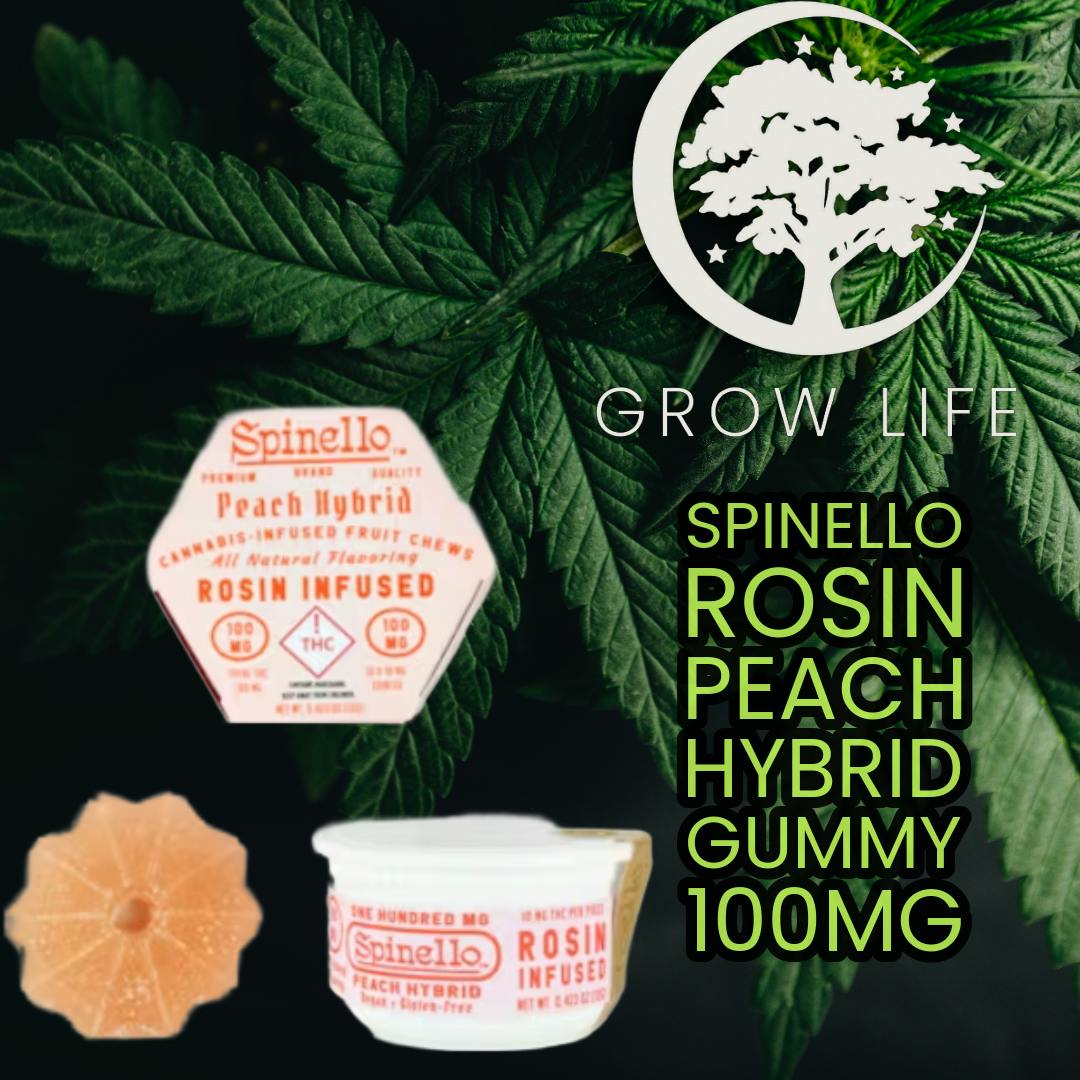 Spinello Rosin Gummy Peach Hybrid 100mg (REC)