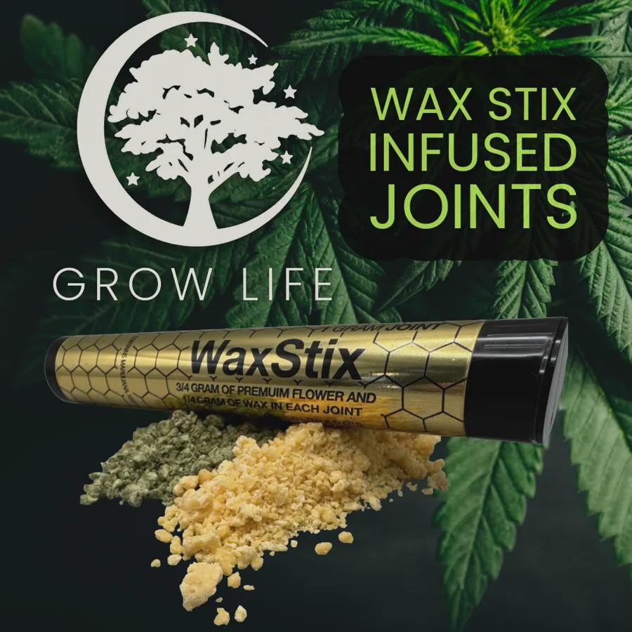 WaxStix Infused Joint Cap Junky 1g (MED)