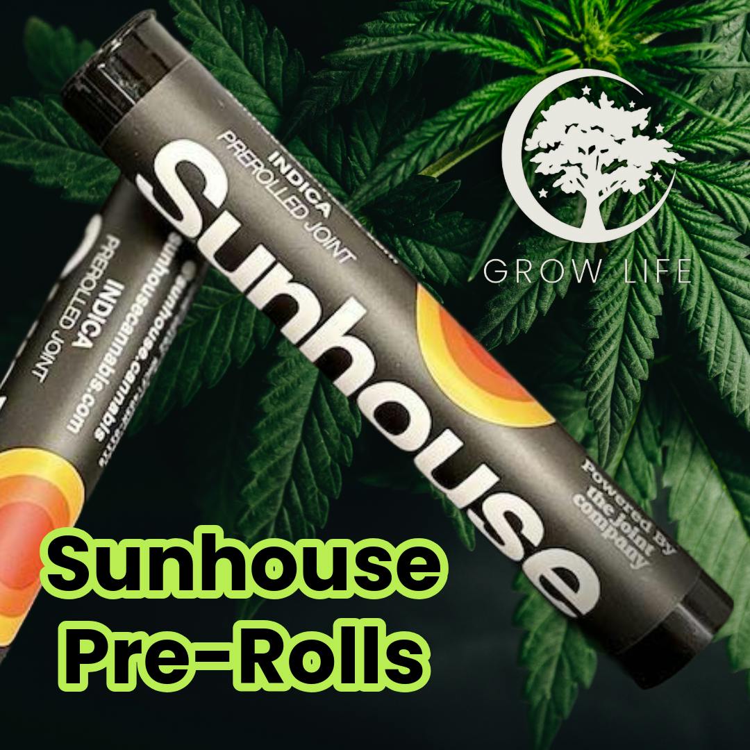 Sunhouse Pre-Roll White a la Mode 1g