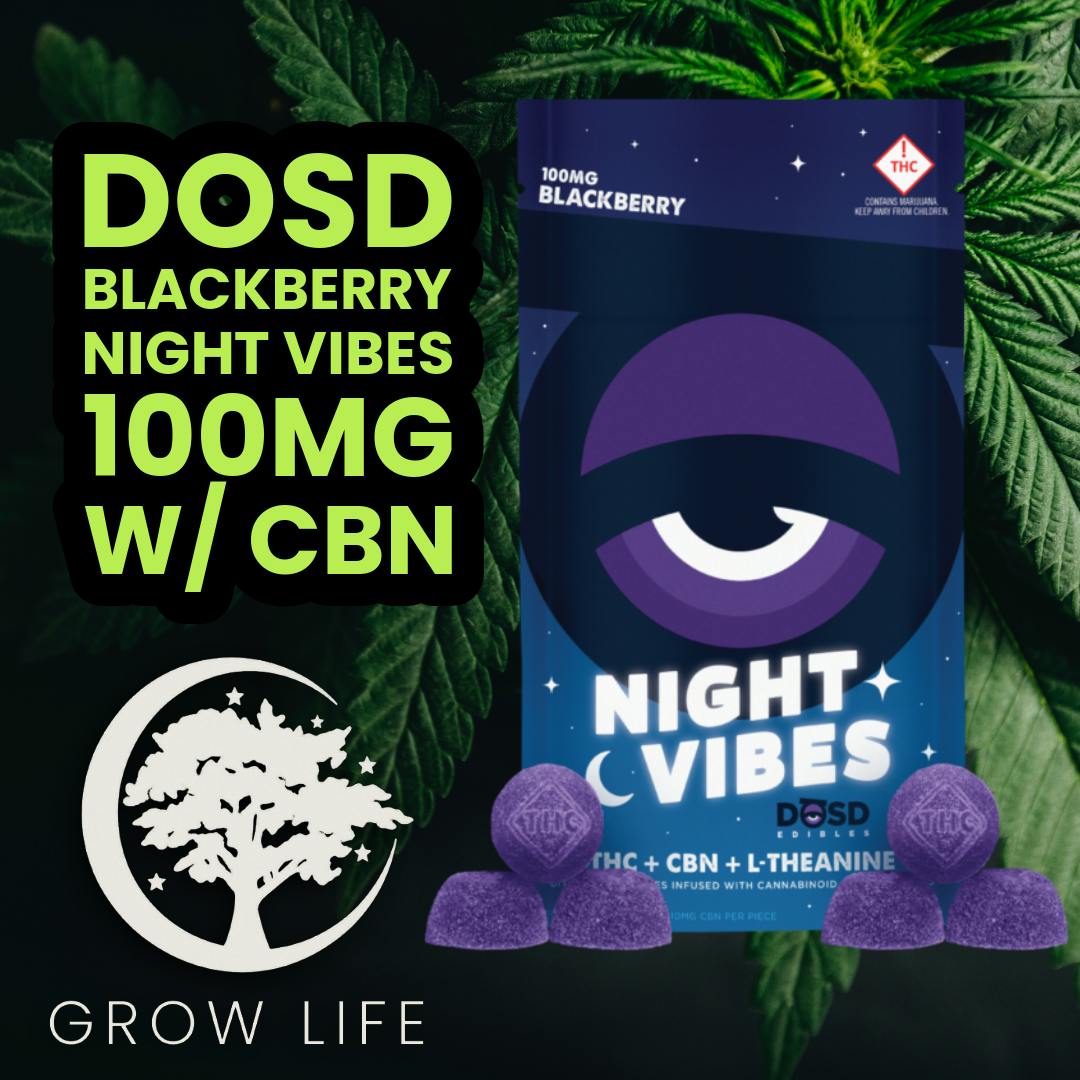 DOSD Night Vibes Blackberry 100mg (REC)