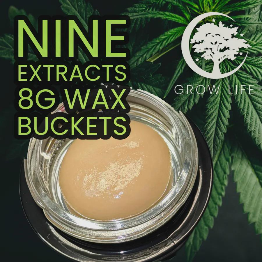 Nine Wax Key Lime Pie 8g (MED)