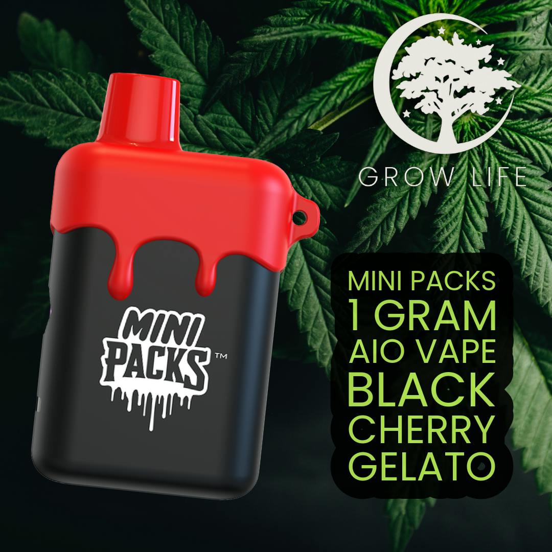 Packspods Mini Black Cherry Gelato 1g (MED)