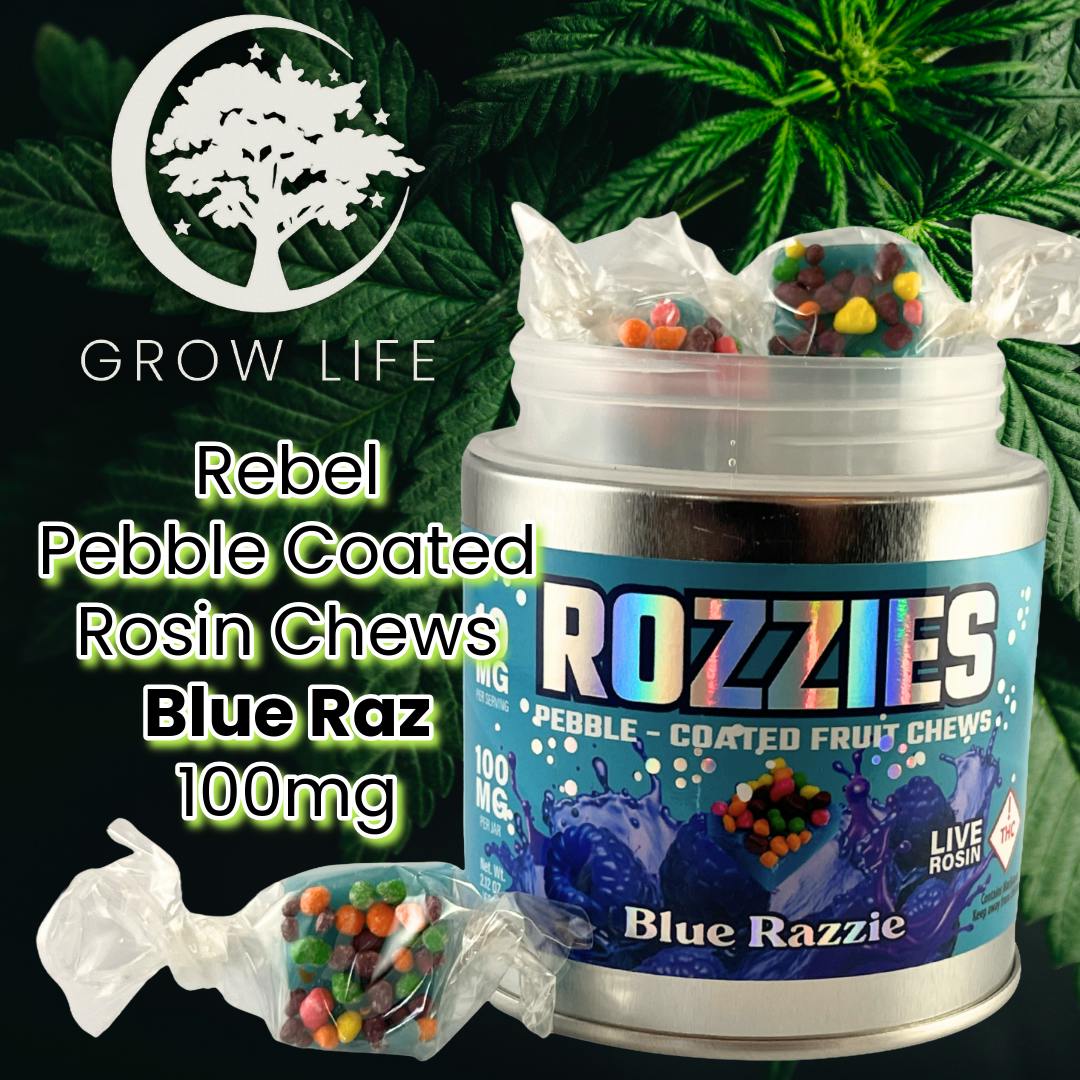 Rebel Rozzies Rosin Fruit Chews Blue Raz 100mg (REC)