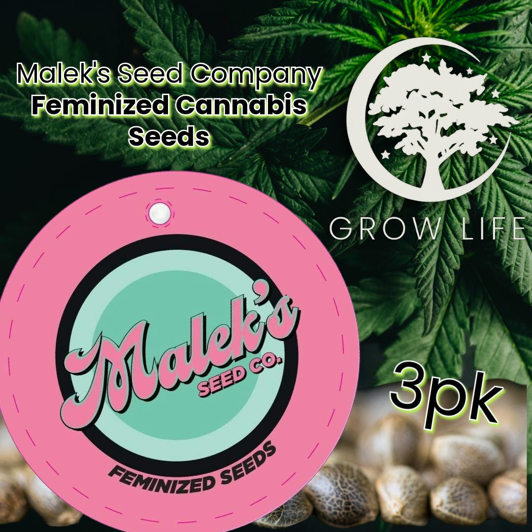 Malek's Seeds Lemons & Gorillas (3pk)