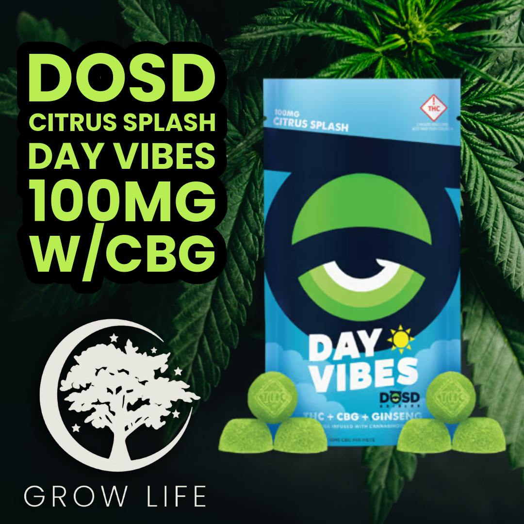 DOSD Day Vibes Citrus Splash 100mg (REC)